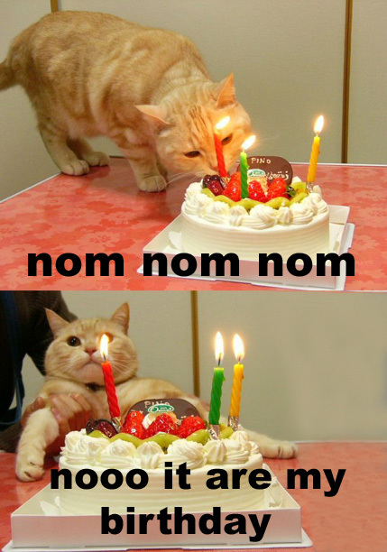 MY BDAY.jpg