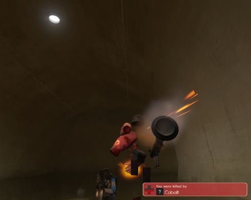 cobalt is looking good!.jpg