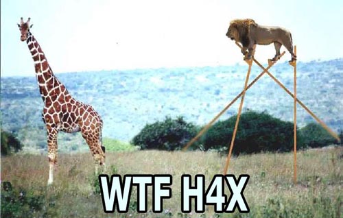 WTF_hax[1].jpg