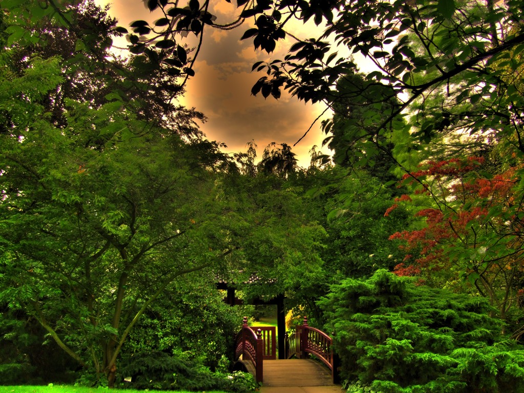 5hdr2.jpg