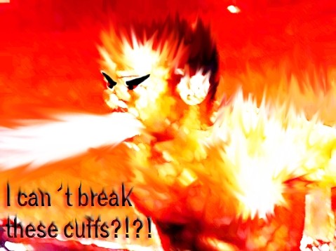 final1.jpg