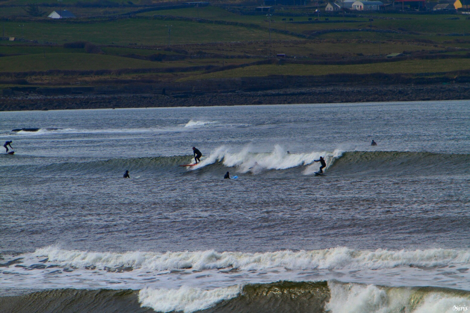 IMG_8135.jpg