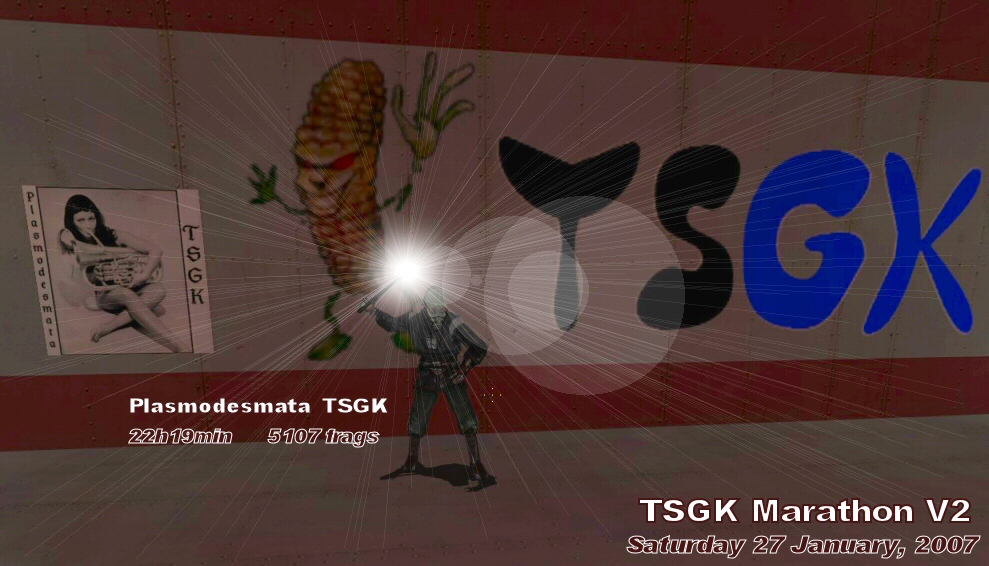 tsgkmarathonv2plasmodesmata.jpg