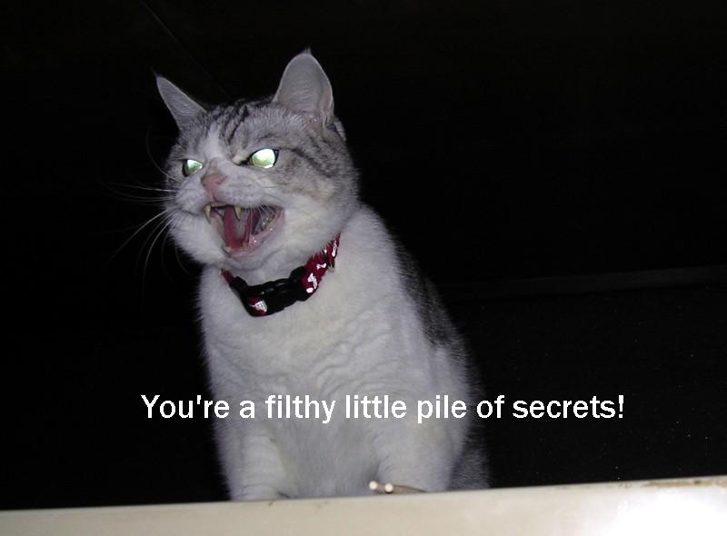pileofsecrets8nu.jpg
