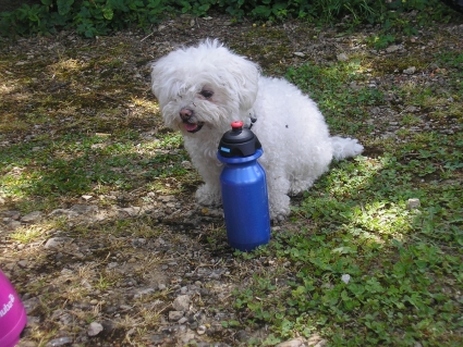 Maïa.jpg