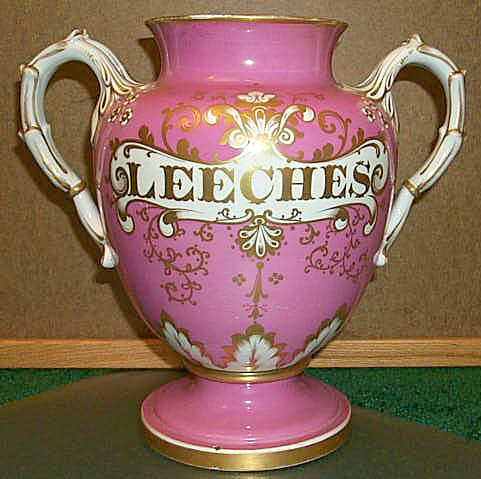 pinkleech.jpg