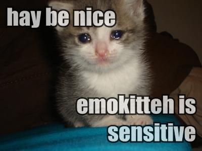 emokitteh-is-sensitive.jpg
