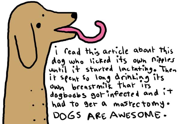 dogs-are-awesome.jpg