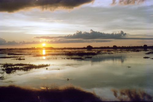 ibera marsh sunset.jpg