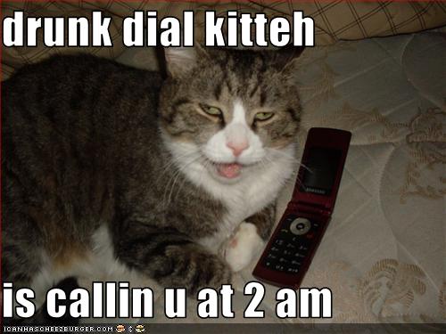 funny-pictures-your-cat-is-drunk-dialing-you.jpg