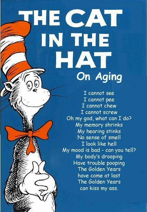 cat.jpg