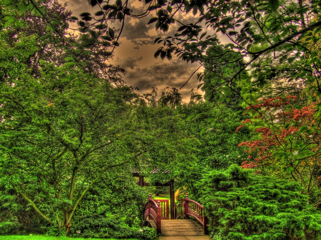 5hdr3.jpg