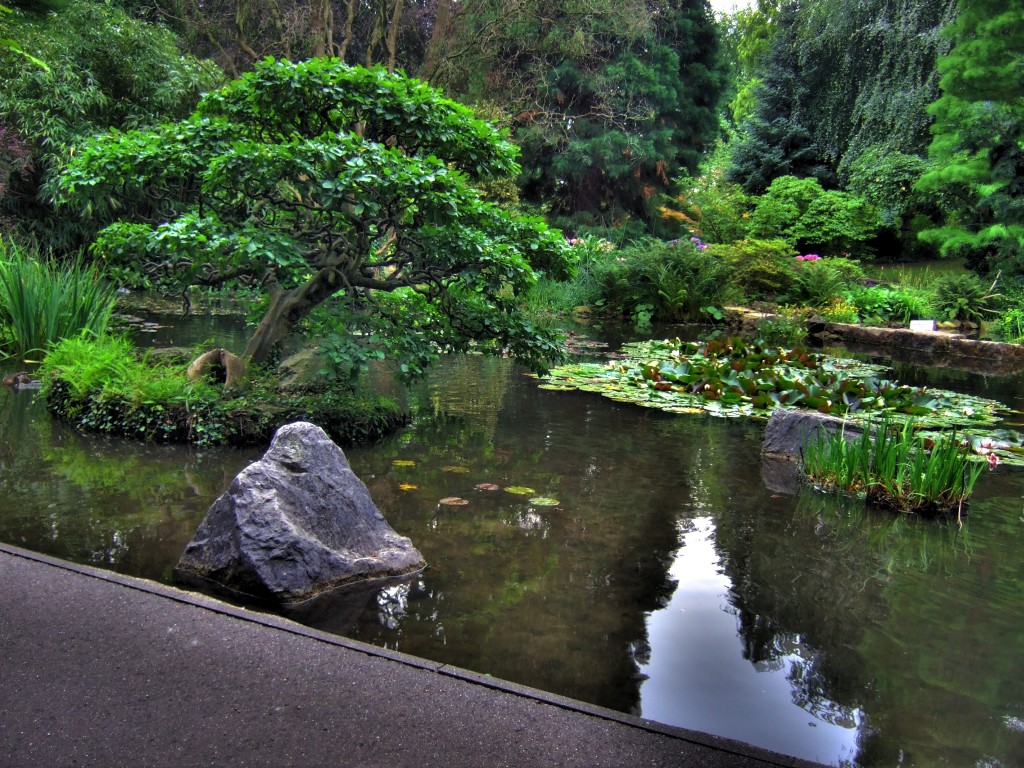 3hdr.jpg