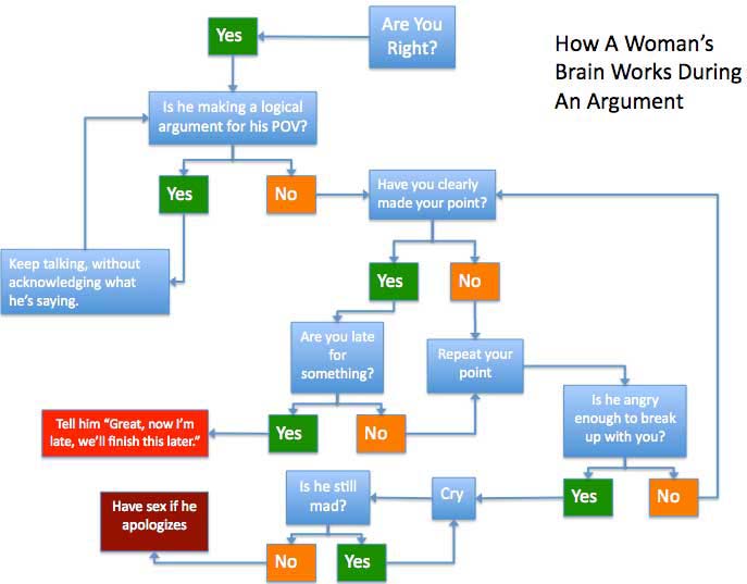 womensbrain.jpg