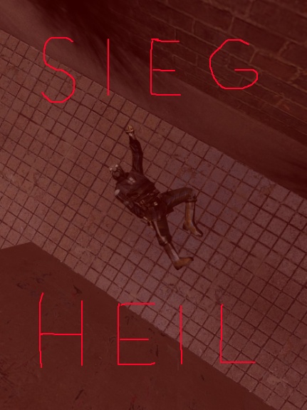 dm_council_tsgk_v20000 sieg heil.jpg