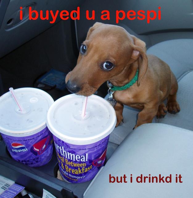 untitled.JPG