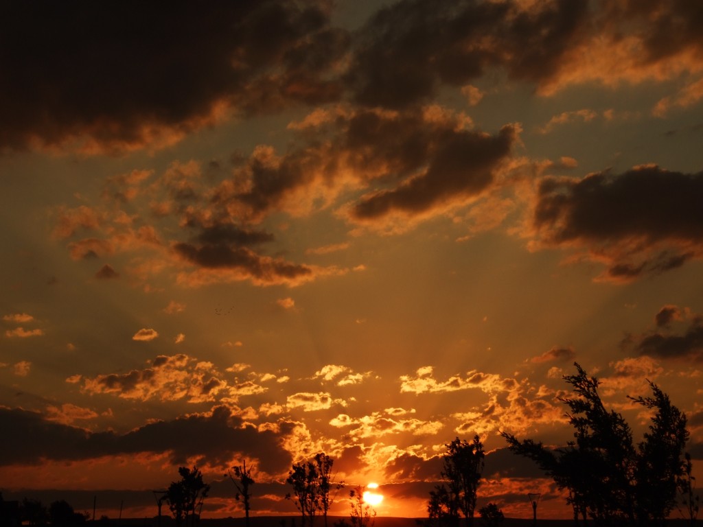 sunset.jpg
