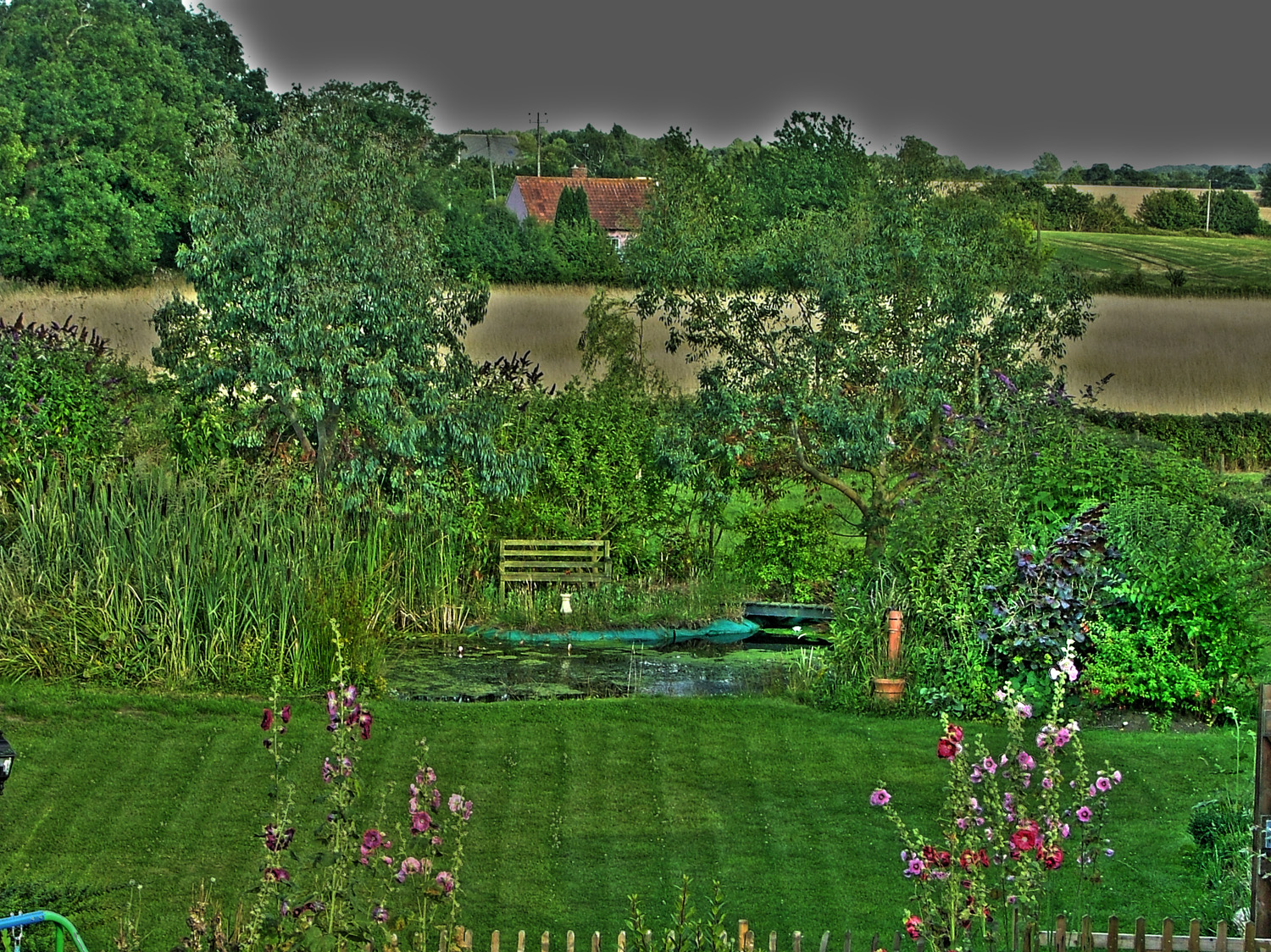 backgarden1.jpg